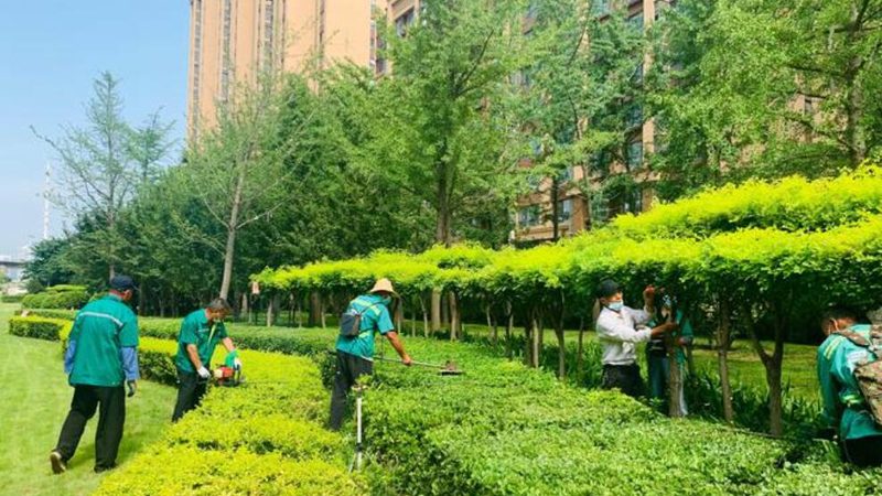 广州假山喷泉工程：打造生态景观的艺术**