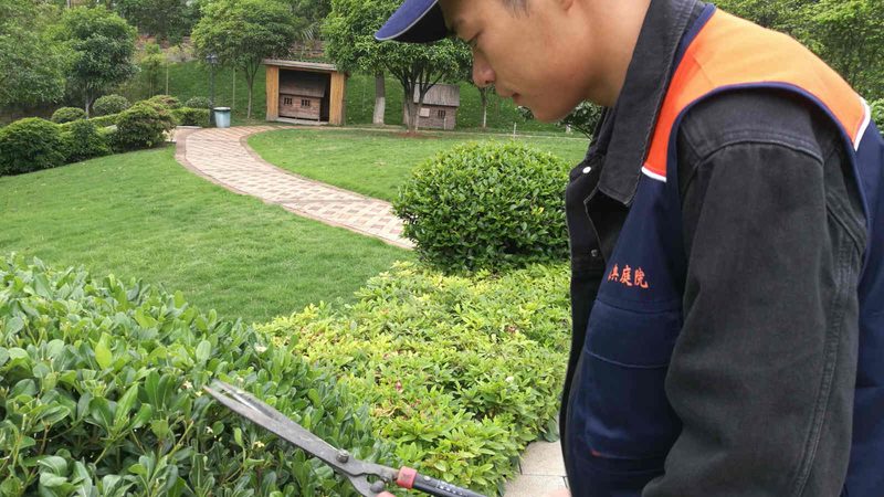 屋顶绿化施工费用明细解析：揭秘成本构成与影响因素**