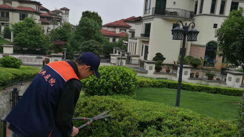 果树苗种植，这些注意事项你了解吗？**