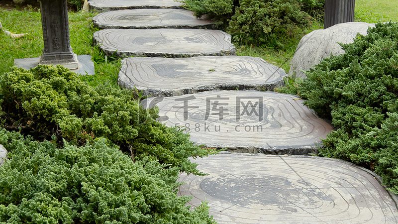 成都绿植租赁：收费标准背后的考量因素**