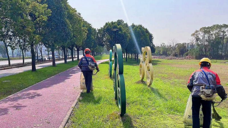 花卉租摆，如何精准报价？**