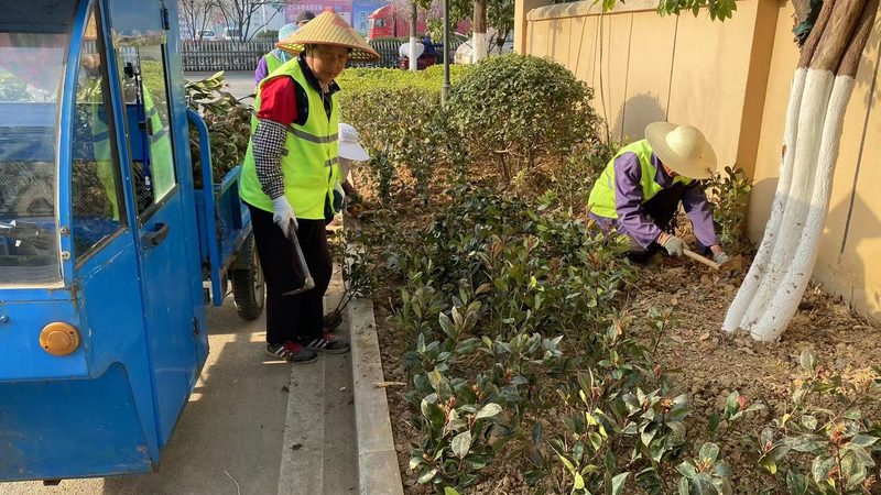绿化苗木种植公司如何挑选？揭秘五大关键要素