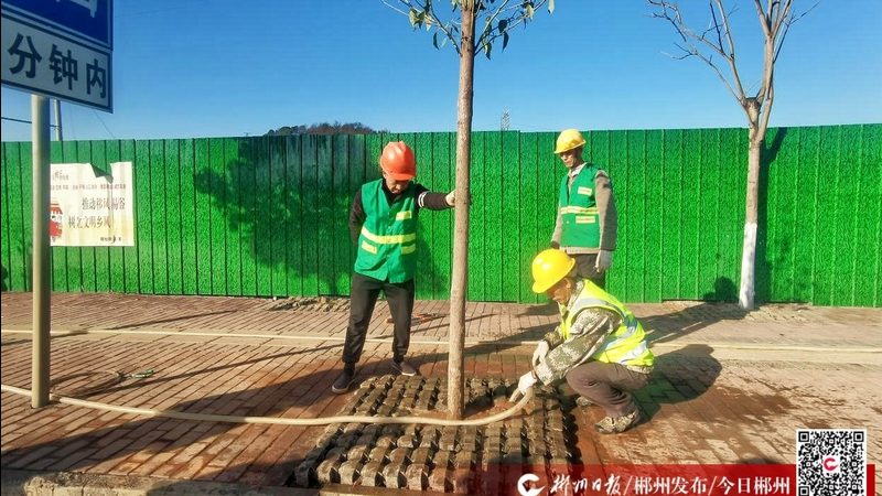 绿化资质项目规模限制：合规之路上的注意事项**