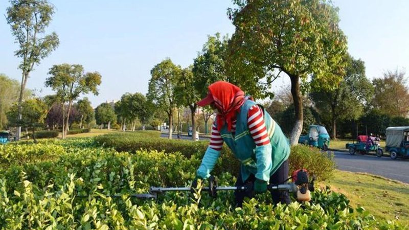 边坡绿化护坡工程：分类与型号解析**