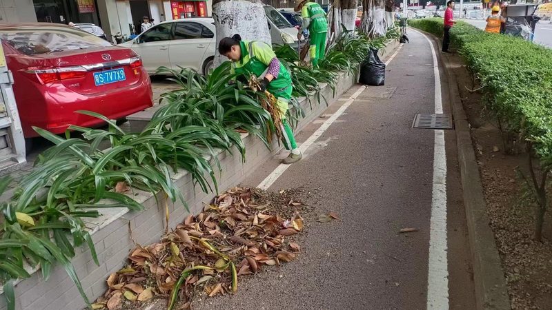 园林绿化工程分包合同范本解析：北京地区要点解读**