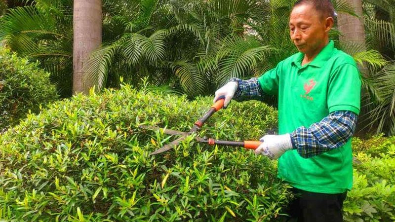 花园设计公司施工步骤解析：从规划到验收的全程攻略
