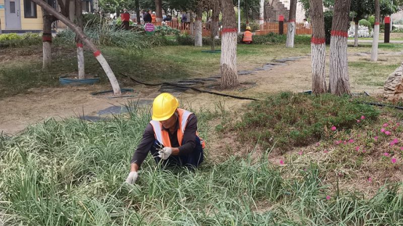 人工草坪：规格型号背后的秘密**