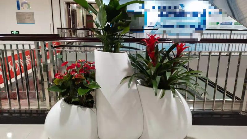 楼顶露台菜园设计：打造绿色屋顶的五大要点