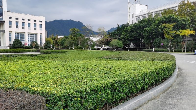 花卉租摆方案设计，如何打造绿色空间新亮点**