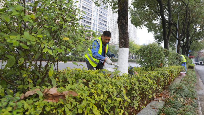 庭院设计施工标准规范：打造绿色家园的指南针